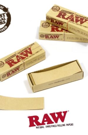 RAW | Perforated Gummed Natural Tips | Bundle of 3