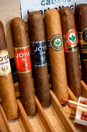 Joya de Nicaragua Robusto 6 Cigar – Sampler Box